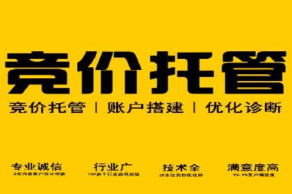 百度推广公司案例解析：如何通过百度推广实现品牌升级